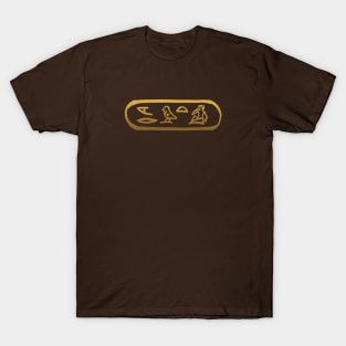 Love in Ancient Egyptian Hieroglyphics T-Shirt